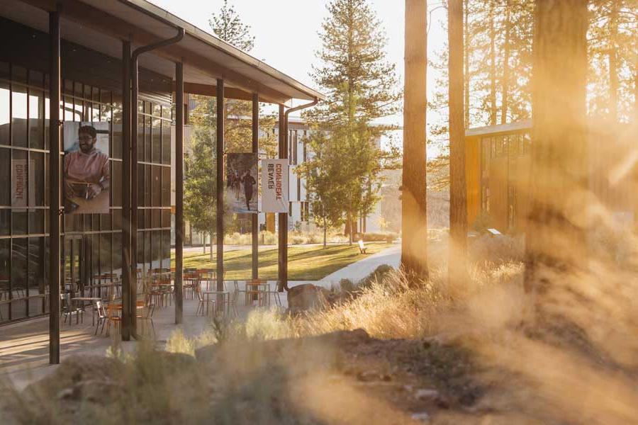 exterior of building with floor to ceiling windows banked by trees and mist